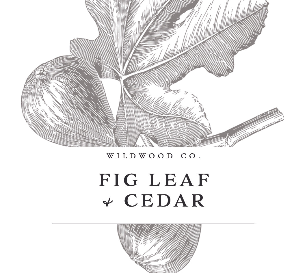 FIG LEAF + CEDAR with Bergamot + Coriander | 180g